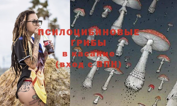 кристаллы Корсаков