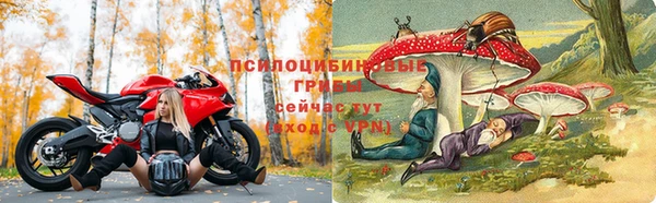 ALPHA-PVP Козловка