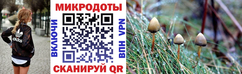 Купить  Славгород  Галлюциногенные грибы ЛСД 